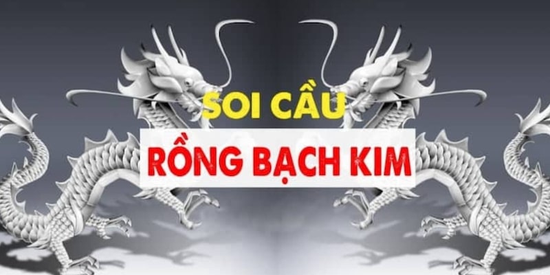 Giới thiệu ngắn gọn về trang Rồng Bạch Kim